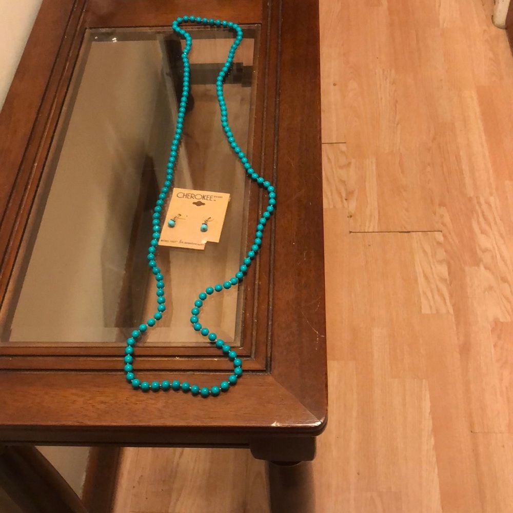 Women preowned Teal necklace & New ear rings